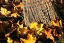 2020-11-11a-yellow-leaves